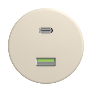 Reblig - Retro keret nélküli USB aljzat A+C, bézs