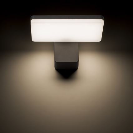 RED - Design Rendl-R11947- LED Kültéri fali lámpa RINA LED/12W/230V IP65