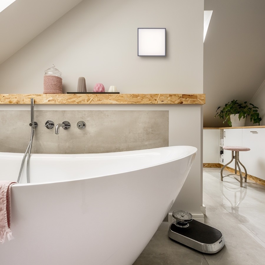 RED - Design Rendl- R11967 - LED Kültéri mennyezeti lámpa BONO LED/4W/230V IP54