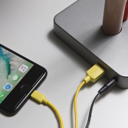 Redo 01-1119 - LED Dimmelhető érintős asztali lámpa LED/5W/230V USB