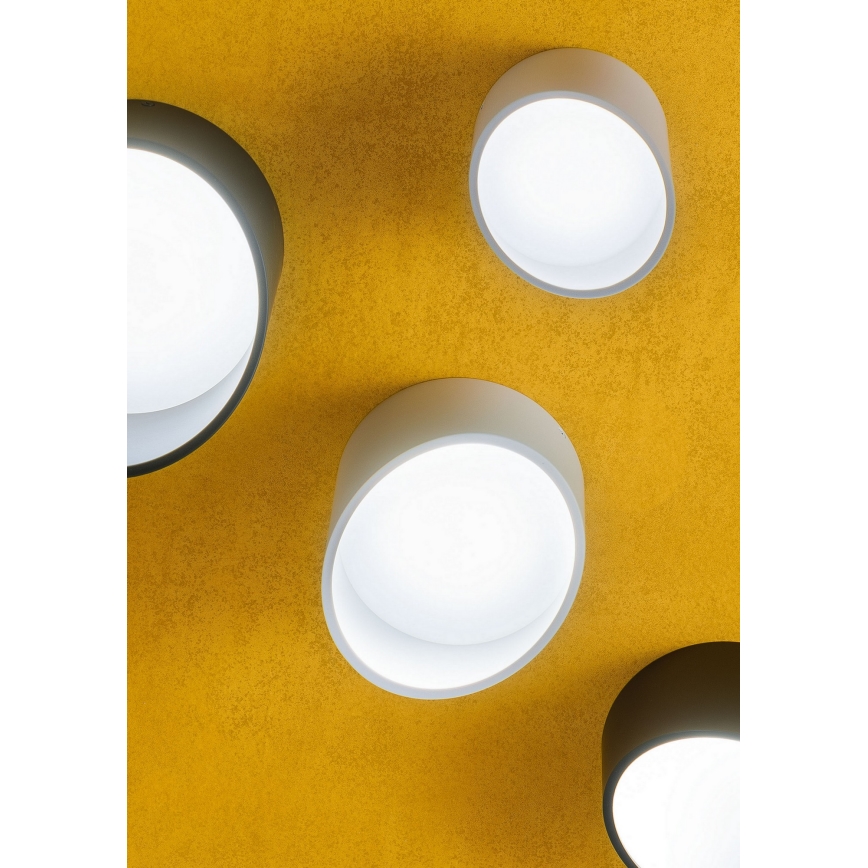 Redo 01-1625 - LED spotlámpa UTO LED/6W/230V átm. 9 cm fehér