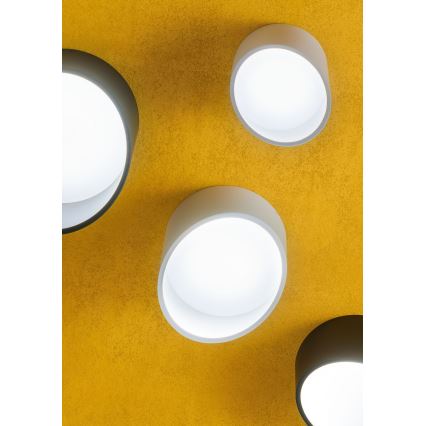 Redo 01-1626 - LED spotlámpa UTO LED/6W/230V átm. 9 cm fekete