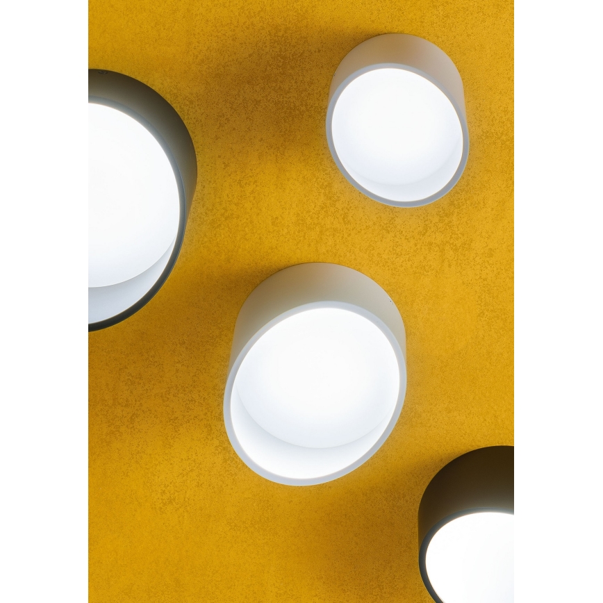 Redo 01-1628 - UTO LED spotlámpa 12W/230V, átmérő 12 cm, fekete