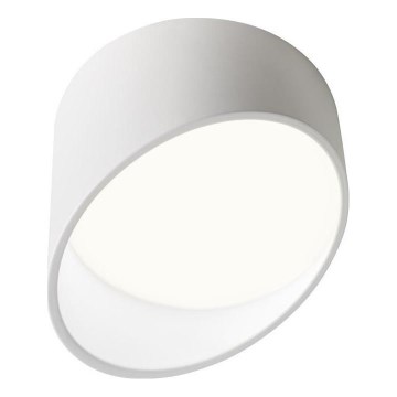 Redo 01-1629 - LED spotlámpa UTO LED/18W/230V Ø 14 cm fehér