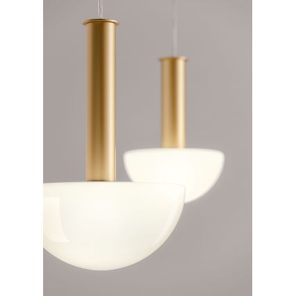 Redo 01-2476 - LUMIEN kábeles csillár 6xG9/10W/230V arany/fehér
