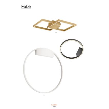 Redo 01-2817 - LED Dimmelhető fali lámpa FEBE LED/24W/230V arany