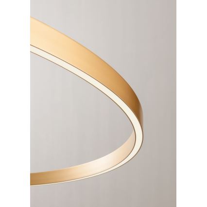 Redo 01-2835 - LED Dimmelhető fali lámpa FEBE LED/24W/230V arany