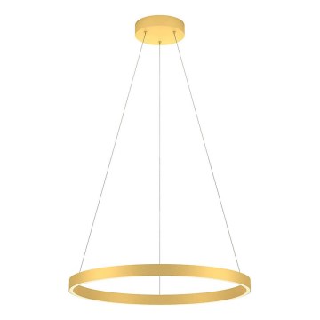 Redo 01-2865 - LED dimmelhető zsinóros csillár FEBE LED/37W/230V arany