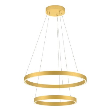 Redo 01-2889 - LED dimmelhető kábeles csillár FEBE LED/62W/230V aranyszínű