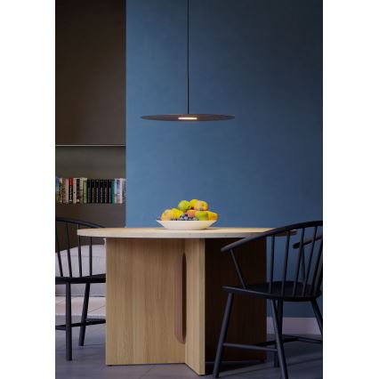 Redo 01-3047 - LED csillár kábelen LAKE LED/13W/230V CRI 90 átm. 50 cm fekete