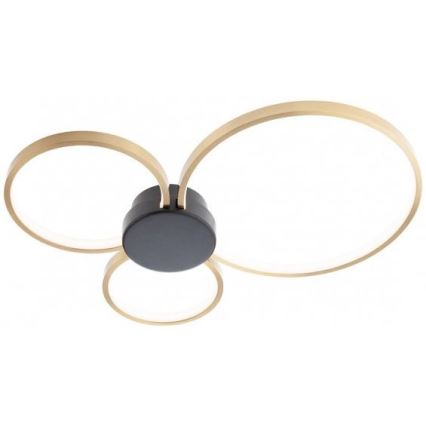 Redo 01-3105 - LED Mennyezeti lámpa ATOM LED/20W/230V