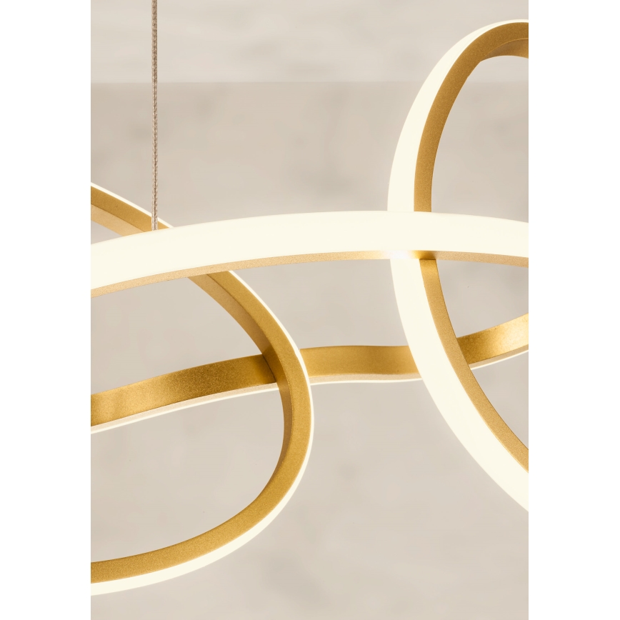 Redo 01-3389 - Dimmelhető kábeles LED csillár BIAS LED/90W/230V 3000/4500/6500K CRI 90 arany