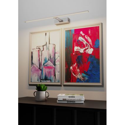 Redo 01-3460 - LED Képmegvilágító LINEAR LED/8W/230V 35 cm CRI 92 fehér