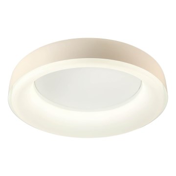 Redo 01-3723 - LED mennyezeti lámpa DIP LED/40W/230V 2700/3000/4000/5000/6500K CRI 90 átm. 62,4 cm bézs