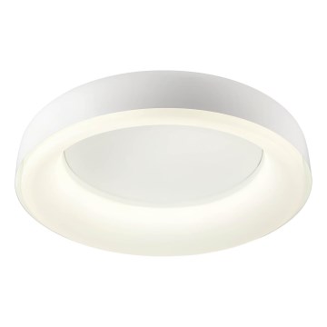 Redo 01-3941 - DIP-LED mennyezeti lámpa, 40 W, 230 V, 2700/3000/4000/5000/6500 K, CRI 90, átmérő 62,4 cm, fehér