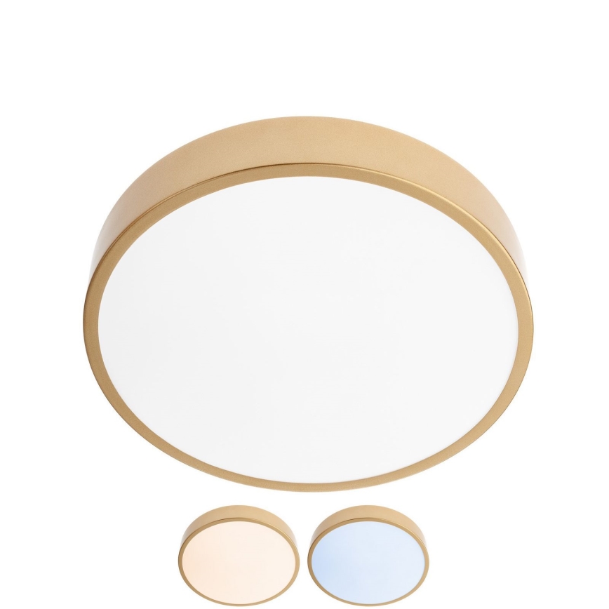 Redo 05-929 - LED Mennyezeti lámpa KNOB LED/24W/230V 3000K-6500K 30 cm arany