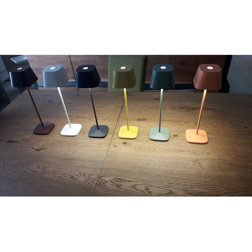 Redo 90218 - LED Kültéri dimmelhető lámpa LA NUIT LED/2,2W/230V IP65 + USB