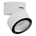 Redo 90626 - LED kültéri spotlámpa SHAFT LED/13W/230V 3000K átm. 9 cm IP65 fehér