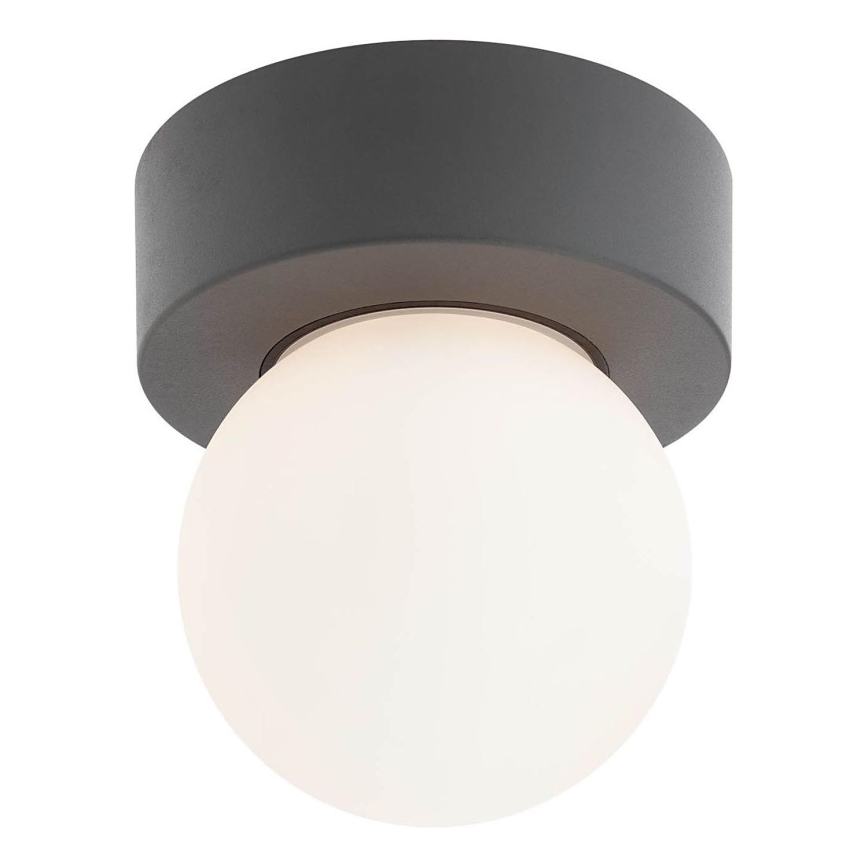 Redo 90641 - Kültéri mennyezeti lámpa BULK 1xE27/28W/230V IP44 antracit