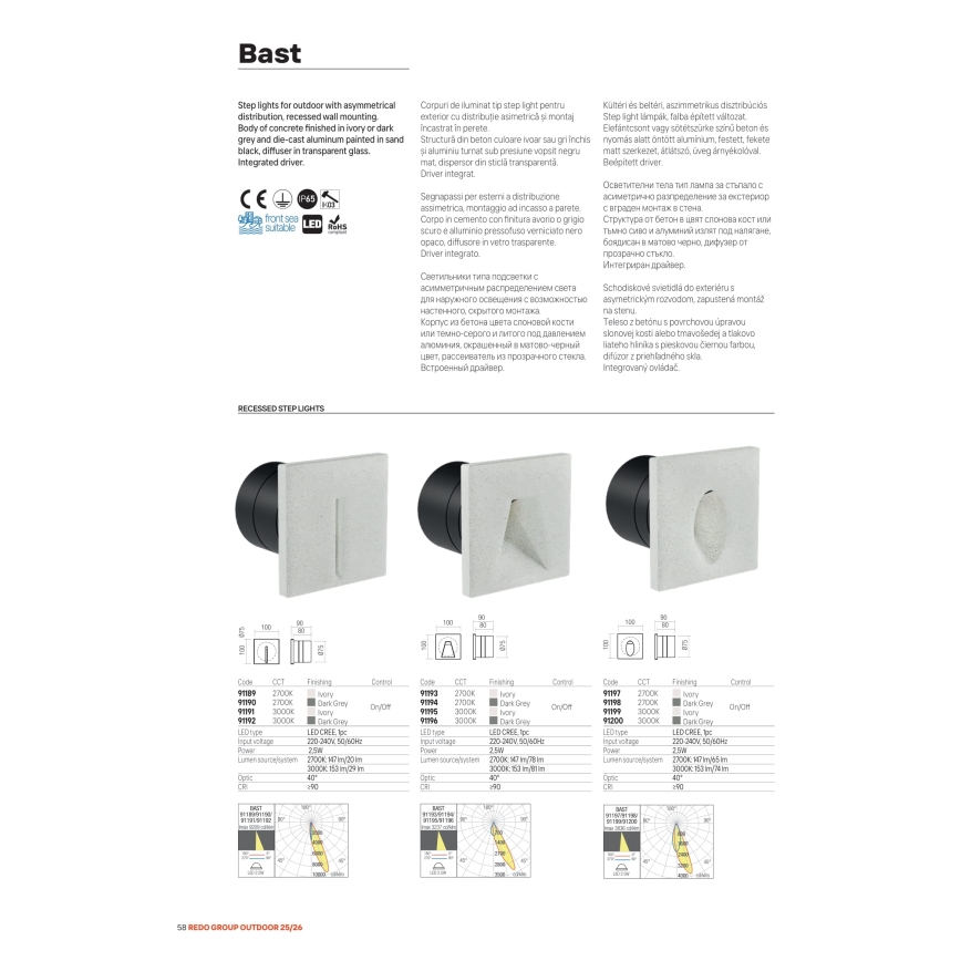 Redo 91200 - LED kültéri irányfény BAST LED/2,5W/230V 3000K CRI 90 IP65 antracit