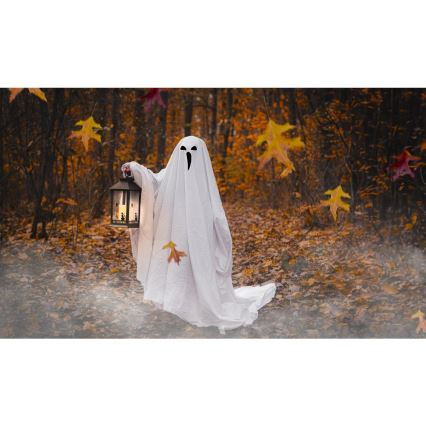 LED Dekoráció HALLOWEEN LED/3xAAA/meleg fehér Lámpás