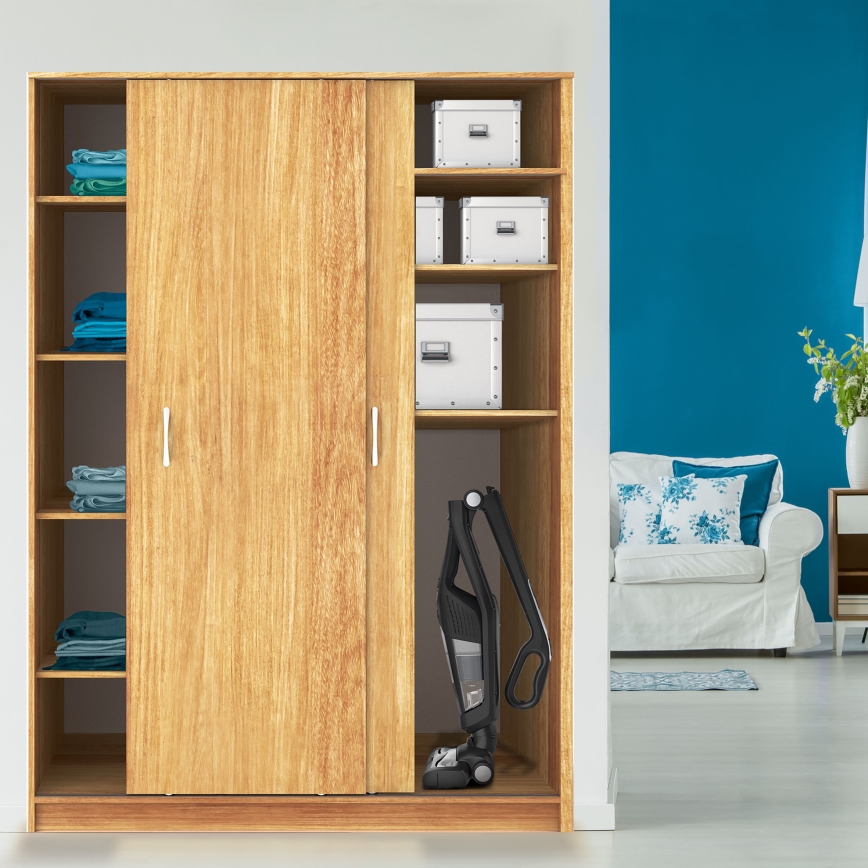 Rowenta - Botporszívó DUAL FORCE 2in1 100W/18V 2500 mAh fekete