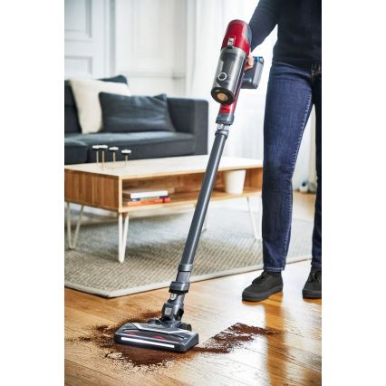 Rowenta - Botporszívó X-PERT 6.60 ANIMAL 3IN1 100W szürke/piros