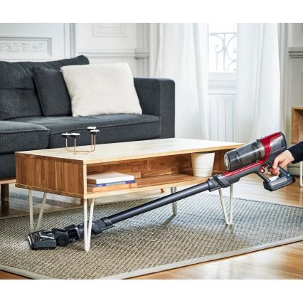 Rowenta - Botporszívó X-PERT 6.60 ANIMAL 3IN1 100W szürke/piros