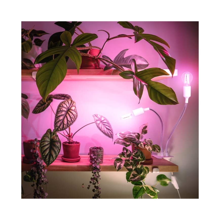 Rugalmas asztali lámpa csíptetővel növénytermesztéshez PLANTY 2xE27/30W/230V fehér