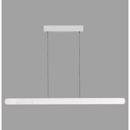 Schöner Wohnen 12577-16 - LED fényerőszabályozható, kábelen függesztett csillár ADRIANA ROUND 2xLED/24W/230V 2700/3000/3500/4000/5000K 160 cm fehér