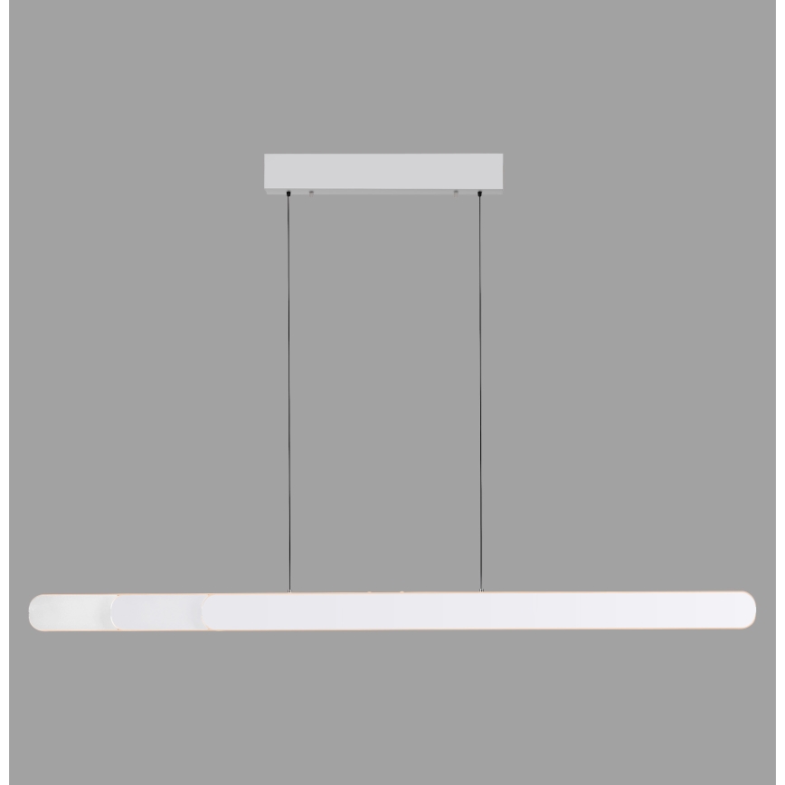 Schöner Wohnen 12577-16 - LED fényerőszabályozható, kábelen függesztett csillár ADRIANA ROUND 2xLED/24W/230V 2700/3000/3500/4000/5000K 160 cm fehér