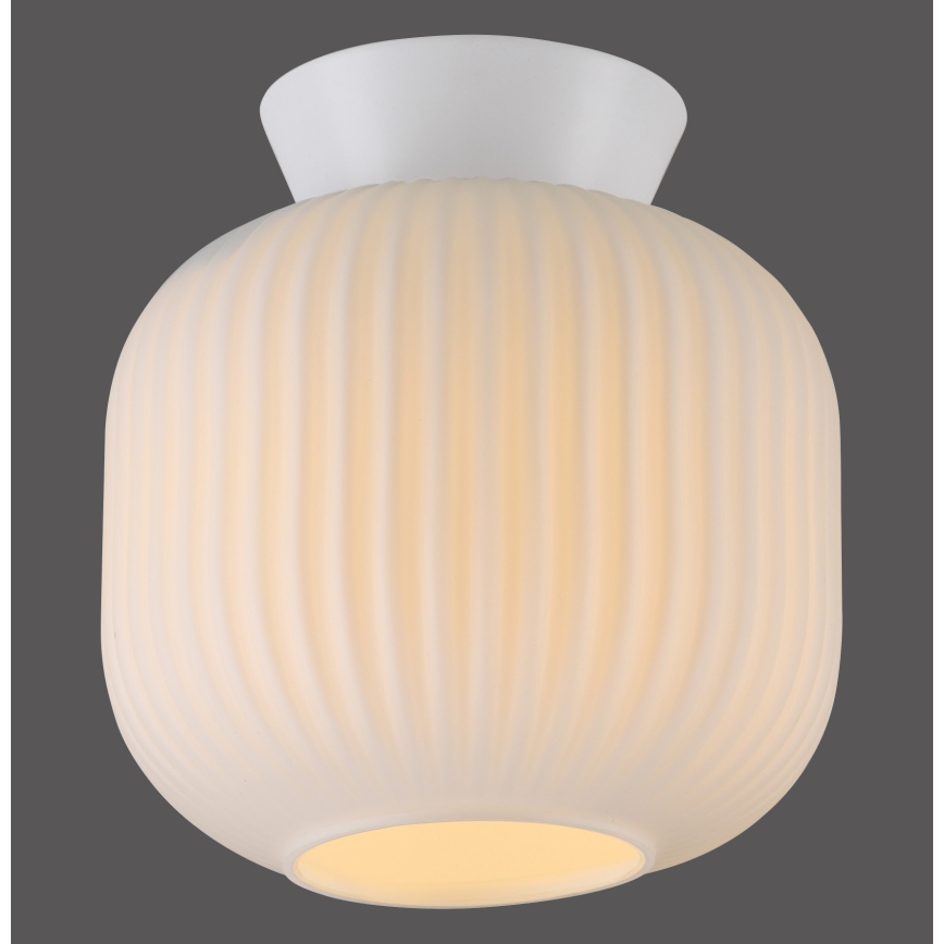 Schöner Wohnen 13574-16 - Mennyezeti lámpa NAMI 1xE27/25W/230V átm. 20 cm fehér