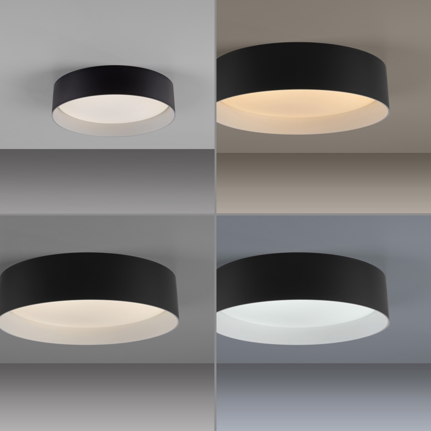 Schöner Wohnen 14593-18 - TAVOLI LED fényerőszabályozható mennyezeti lámpatest LED/10W/230V 2700-6500K Ø 28,5 cm fekete + távirányító