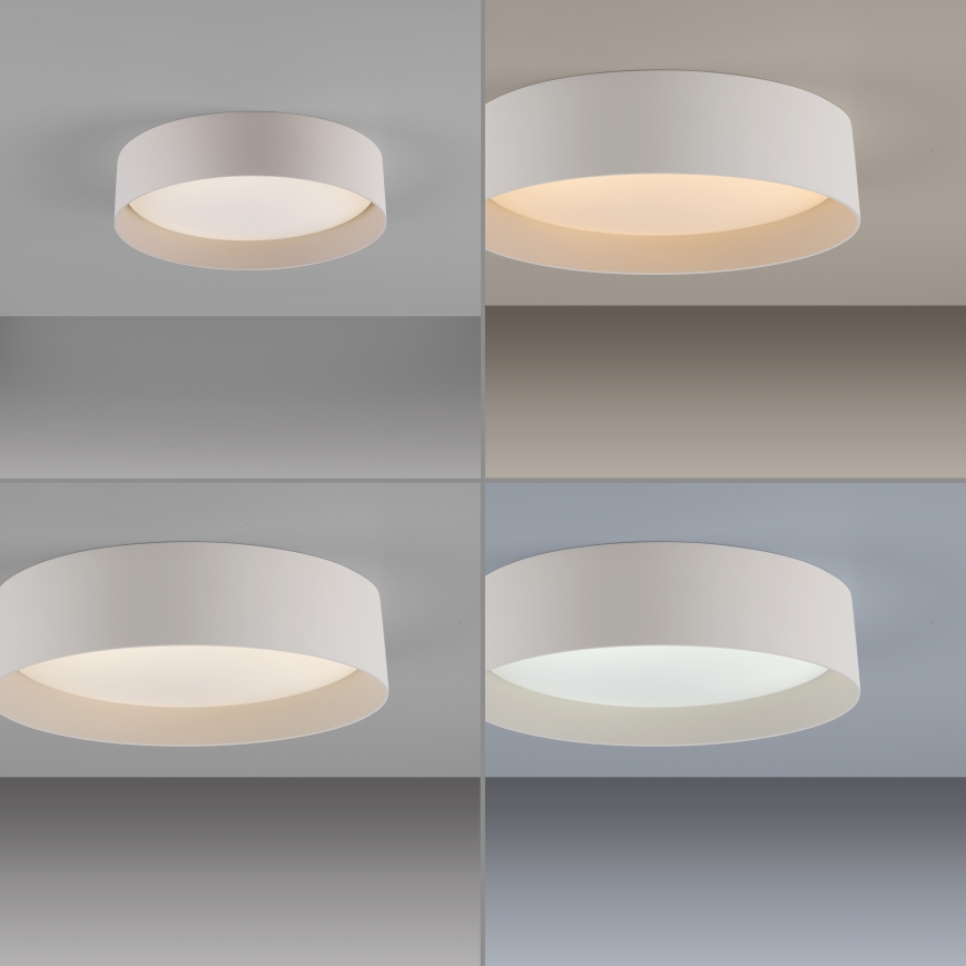 Schöner Wohnen 14593-39 - LED fényerőszabályozható mennyezeti lámpa TAVOLI LED/10W/230V 2700-6500K átm. 28,5 cm szürke + távirányító