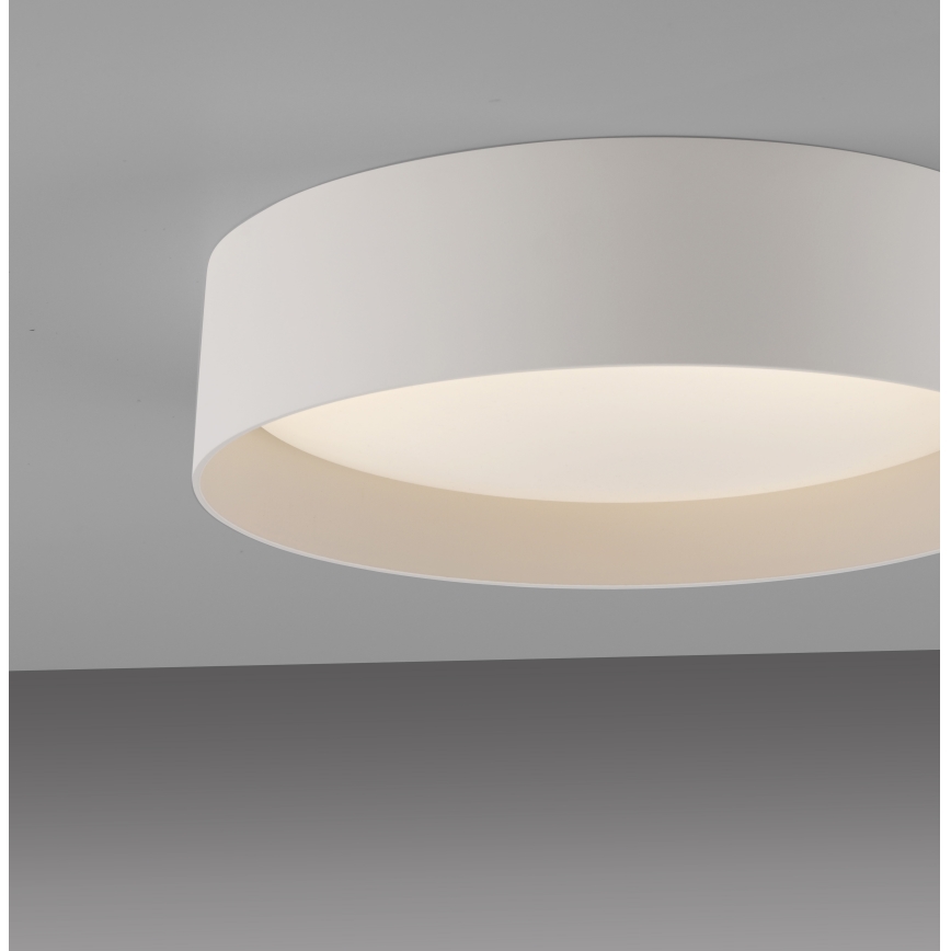 Schöner Wohnen 14593-39 - LED fényerőszabályozható mennyezeti lámpa TAVOLI LED/10W/230V 2700-6500K átm. 28,5 cm szürke + távirányító