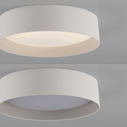 Schöner Wohnen 14593-39 - LED fényerőszabályozható mennyezeti lámpa TAVOLI LED/10W/230V 2700-6500K átm. 28,5 cm szürke + távirányító