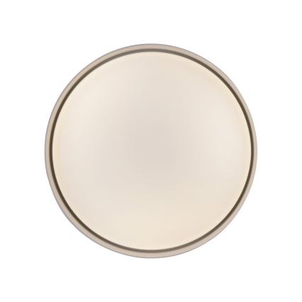 Schöner Wohnen 14593-39 - LED fényerőszabályozható mennyezeti lámpa TAVOLI LED/10W/230V 2700-6500K átm. 28,5 cm szürke + távirányító