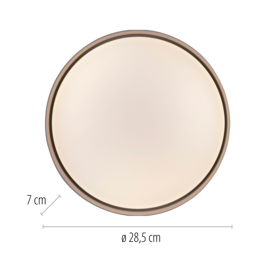 Schöner Wohnen 14593-39 - LED fényerőszabályozható mennyezeti lámpa TAVOLI LED/10W/230V 2700-6500K átm. 28,5 cm szürke + távirányító