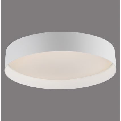 Schöner Wohnen 14594-16 - TAVOLI LED dimmelhető mennyezeti lámpa LED/20W/230V 2700-6500K átmérő 39 cm fehér + távirányító
