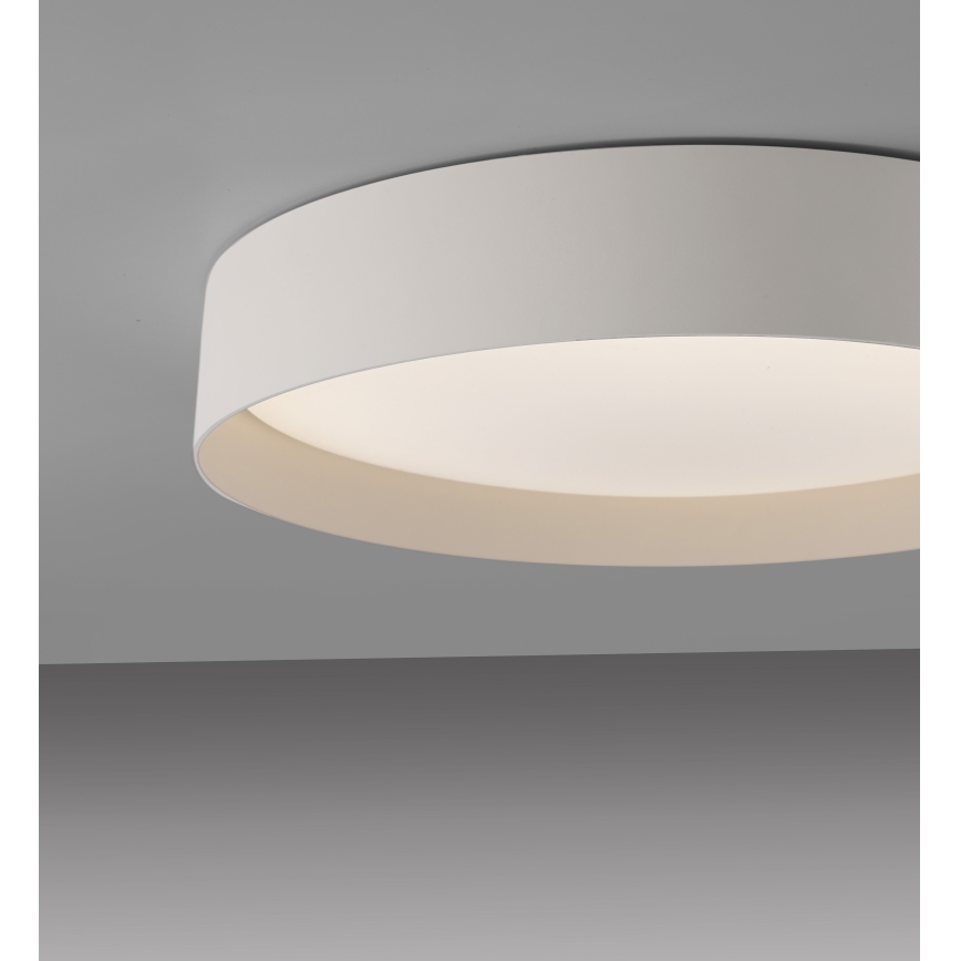 Schöner Wohnen 14594-39 - dimmelhető mennyezeti LED lámpa TAVOLI LED/20W/230V 2700-6500K átm. 39 cm szürke + távirányító