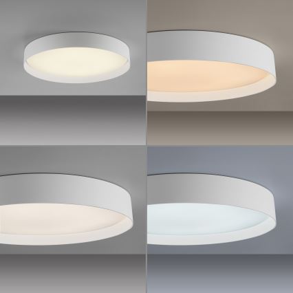 Schöner Wohnen 14595-16 - TAVOLI LED dimmelhető mennyezeti lámpatest LED/34W/230V 2700-6500K átm. 49 cm fehér + távirányítóval