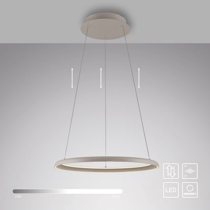 Schöner Wohnen 15570-39 - QUILLO LED dimmelhető kábeles függeszték LED/36W/230V, Ø 60 cm, szürke