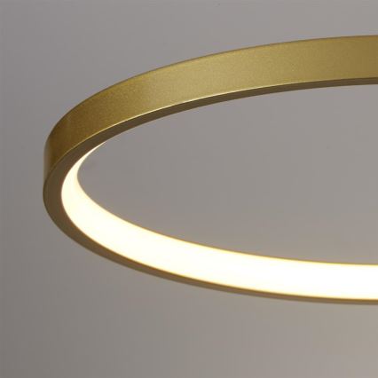 Searchlight - LED dimmelhető mennyezeti lámpa CIRQUE LED/37W/230V 3000K 33x97 cm