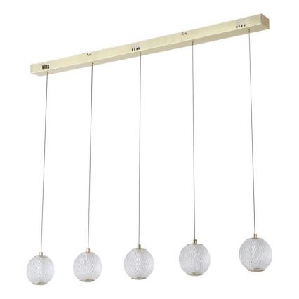 Searchlight - LED, kábelre függesztett csillár ALLURE 5xLED/4,2W/230V