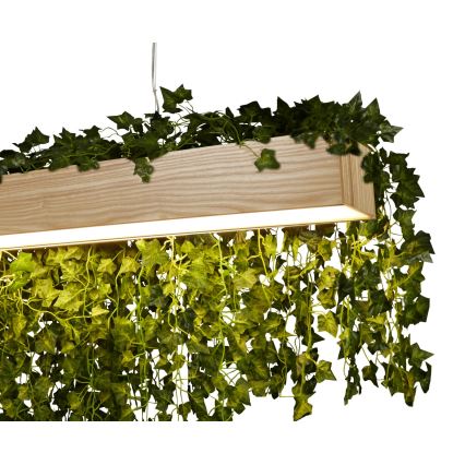 Searchlight - LED Csillár zsinóron ASH LED/20W/230V kőris