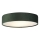 Searchlight - DRUM mennyezeti lámpa 3xE27/60W/230V zöld