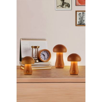 Searchlight - 3 darabos készlet LED asztali lámpa MUSHROOM LED/1,1W/5V 800 mAh