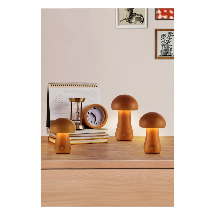 Searchlight - 3 darabos készlet LED asztali lámpa MUSHROOM LED/1,1W/5V 800 mAh