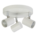 Searchlight - LED Spotlámpa ROLLO 3xLED/4W/230V fehér