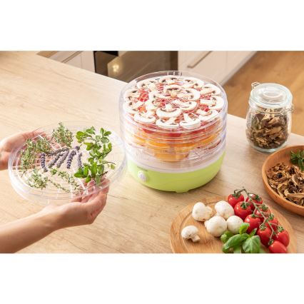 Sencor - Élelmiszer szárító 250W/230V